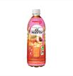 Ice Peach Tea 500ml